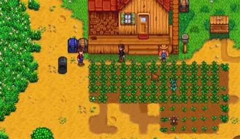 how does stardew valley multiplayer work and what makes it so unique in the world of online games